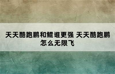 天天酷跑鹏和鲲谁更强 天天酷跑鹏怎么无限飞